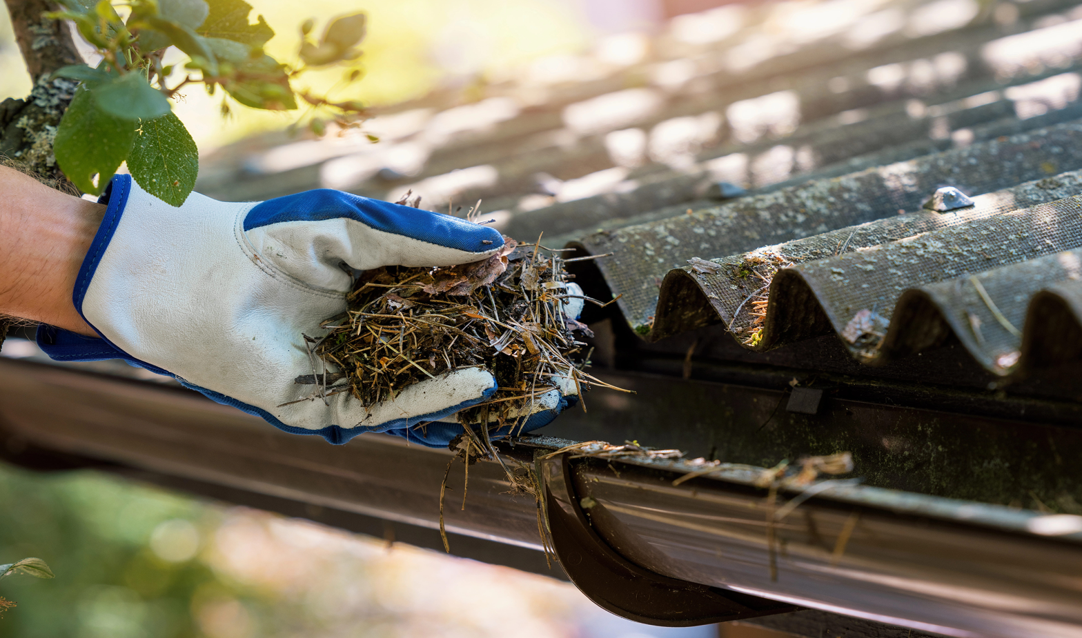 Expert-Gutter-Cleaning-in-Burlington,-Ontario